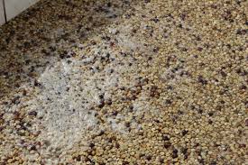 Fermentación